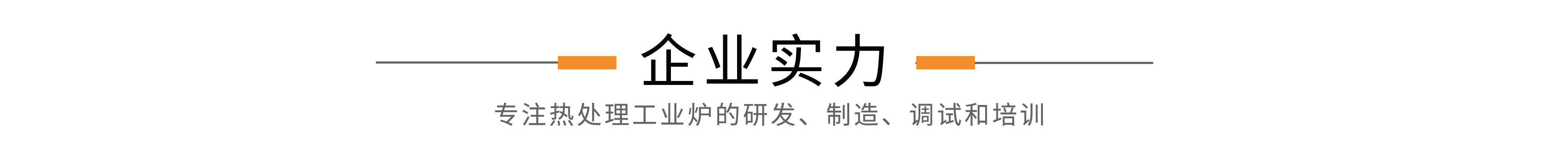 企業(yè)實(shí)力.png